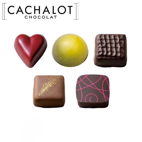 �J�V���� �V���R���A�\�[�g B 5��~20������	