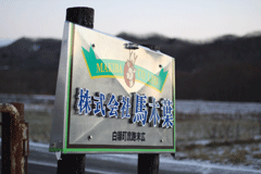 株式会社馬木葉