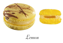 ラローズノワール ミニマカロン チョコレート ミニサイズ 90個入り