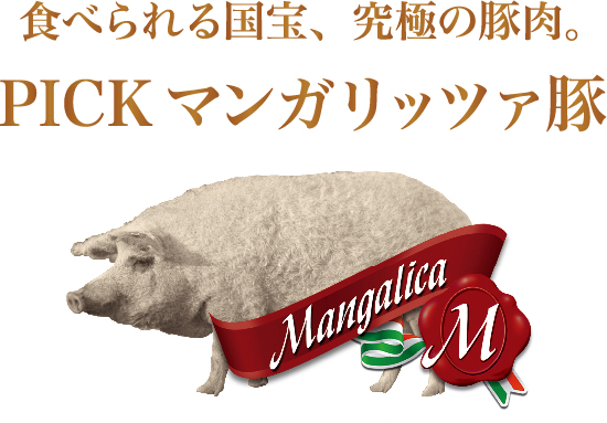 �H�ׂ��鍑��A���ɂ̓ؓ��u�}���K���b�c�@�؁v