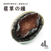 鮑(あわび)