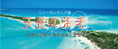 世界が認めた品質と安全性「天使の海老」