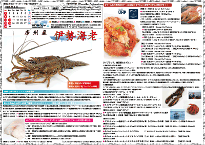 2013年9月度商品案内
