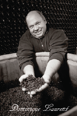 Dominique Laurent�`�h�~�j�N���[����