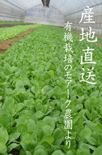 �L�@�_�����A�[�N�̖��