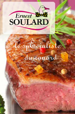 SOULARD~�X�[���[��