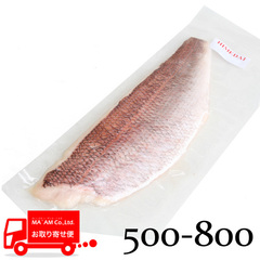 水産品/魚類(その他加熱用)/[ケース販売]姫鯛フィレ(皮付き・骨取り) ワンフローズン 500/800