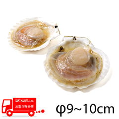 水産品/帆立(ほたて)/[ケース販売]ノースイ 北海道産 (生)帆立片貝 加熱用 ウロ取り M(9〜10cm) 10枚入