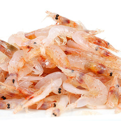 /刺身用 華さくら 桜海老 500g 2pc入り