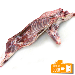 /おおみや 国産 チルド 天然猪 赤身 枝肉 ハーフカット