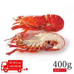 /[ケース販売]ボイルオマールロブスター ハーフ&クリーン(爪なし・ミソ卵胃除去済) 原料400gサイズ