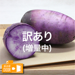 直送対応[モアーク有機農園]/根菜類/[訳あり]有機栽培 紫大根 B品 増量版 約1kg