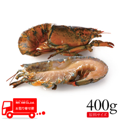 /[ケース販売]生冷オマールロブスター ハーフ&クリーン(爪なし・ミソ卵胃除去済) 原料400gサイズ