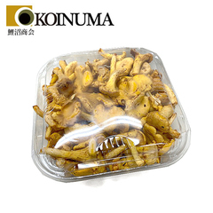 鯉沼商会 フレッシュ ジロール(天然) サイズ無選別 約500g  [339170]