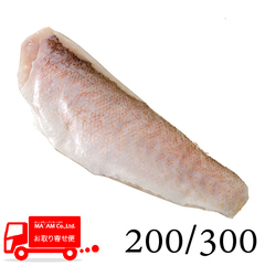 水産品/魚類(その他加熱用)/[ケース販売]釣りの高鮮度原料 リキッド凍結 白甘鯛フィレ(皮付き・小骨取り) 200/300