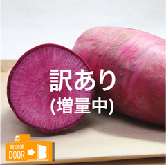 直送対応[モアーク有機農園]/根菜類/[訳あり]有機栽培 赤大根 B品 増量版 約1kg