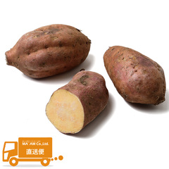 直送対応[モアーク有機農園]/根菜類/無農薬栽培 安納芋「あんのういも」(さつまいも) 約1kg