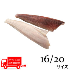 水産品/魚類(その他加熱用)/北海道産 天然アイナメフィレ(皮付き・腹骨付き) 16/20サイズ ツーフローズン