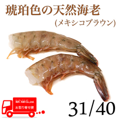 /[ケース販売]琥珀色の天然エビ 船上凍結 無頭メキシコブラウン海老(殻付き) 31/40 2.0kg