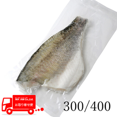 /[ケース販売]窒素凍結 生食用 本すずきフィレ(皮付き・ピンボーン付き) 真空パック 300/400