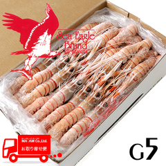 水産品/手長海老・スカンピ/[ケース販売]シーイーグル 活〆刺身用スキャンピホール/赤座海老 G5サイズ 2kg