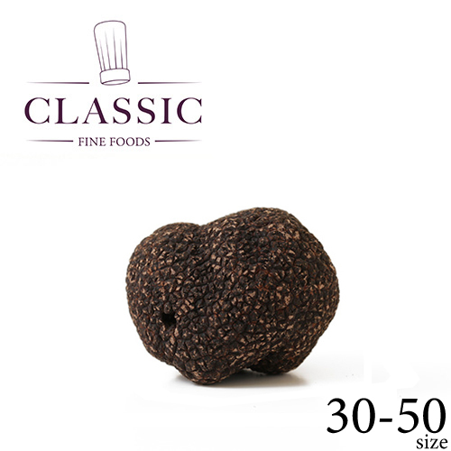 フードロス削減特価/フレンチF&B プランタン社選別 フレッシュ 黒トリュフ ホール EXTRA 30-50サイズ
