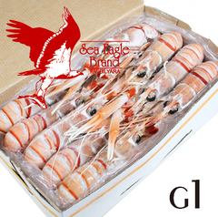 /シーイーグル 活〆刺身用スキャンピホール/赤座海老 G1サイズ 2kg