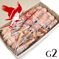 /シーイーグル 活〆刺身用スキャンピホール/赤座海老 G2サイズ 2kg