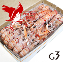 /シーイーグル 活〆刺身用スキャンピホール/赤座海老 G3サイズ 2kg