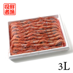 /粋氣 網代湾産 天然無添加 お造り用甘海老 3L(40尾) 800g