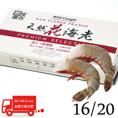 /[ケース販売]鮮度勝負 活〆天然花海老/フラワー海老(無頭・殻付き・保水なし) 40尾入り 1kg