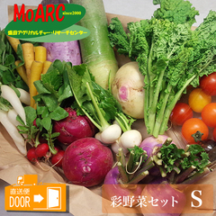 /有機栽培 彩り野菜セット S(約5〜7種類)