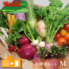 /有機栽培 彩り野菜セット Ｍ(約9〜11種類)