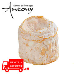 チーズ/アントニー(熟成チーズ)/FROMAGERIE ANTONY Grand Est/Vache ラングル フェルミエ