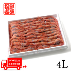 /[ケース販売]粋氣 網代湾産 天然無添加 お造り用甘海老 4L(30尾) 800g