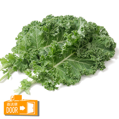 直送対応[モアーク有機農園]/葉菜類/無農薬栽培 カーリーケール 100g