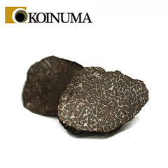 農産品/生鮮トリュフ(黒)/鯉沼商会 豪州産 フレッシュ 黒トリュフ ラージモルソー
