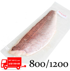 水産品/魚類(その他加熱用)/[ケース販売]姫鯛フィレ(皮付き・骨取り) ワンフローズン 800/1200