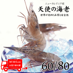 水産品/有頭プラウン・シュリンプ/[ケース販売]伊万仁 刺身用 天使の海老 60/80 1kg
