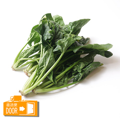 直送対応[モアーク有機農園]/葉菜類/有機栽培 ほうれん草 1kg