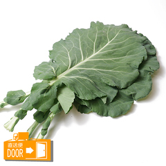 直送対応[モアーク有機農園]/葉菜類/無農薬栽培 ケール 200g