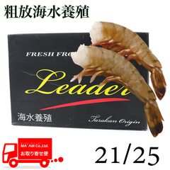 /[ケース販売]タラカン島産 粗放海水養殖 無頭ブラックタイガーエビ 21/25 1.8kg