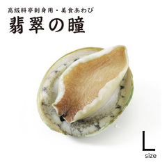 飲食店応援特価/[販促特価10%off]高級料亭刺身用・美食あわび 翡翠の瞳 グリーンリップ L 1kg