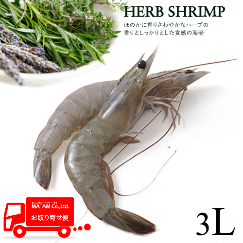 [ケース販売]ハーブシュリンプ 有頭バナメイ海老 3L(21/25) 500g [206479]