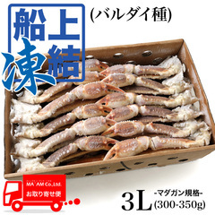 水産品/蟹類(生ズワイガニ類)/築地蟹商 ロシア船凍品 身入り◎ 生オオズワイガニ(バルダイ種) セクション マガダン規格 3L(300-350) 5kg