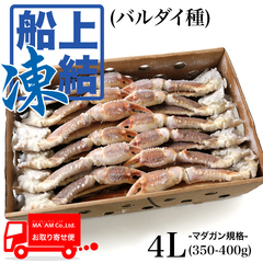 水産品/蟹類(生ズワイガニ類)/[5ケース以上で受注可能]築地蟹商 ロシア船凍品 身入り◎ 生オオズワイガニ(バルダイ種) セクション マガダン規格 4L(350-400) 5kg