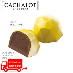 チョコレート/日仏商事(カシャロ)/カシャロ チョコレート モールド アナナスココ 20粒入り