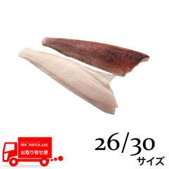 水産品/魚類(その他加熱用)/北海道産 天然アイナメフィレ(皮付き・腹骨付き) 26/30サイズ ツーフローズン