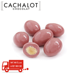 チョコレート/日仏商事(カシャロ)/[ケース販売]カシャロ コンフィズリーショコラテ ルビーアマンド 500g