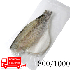 水産品/魚類(その他生食用)/[ケース販売]窒素凍結 生食用 本すずきフィレ(皮付き・ピンボーン付き) 真空パック 800/1000